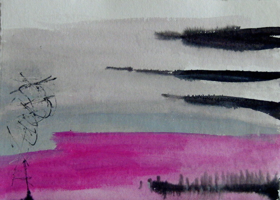 Encres sur papier 2009 42,5 cm x 30 cm 