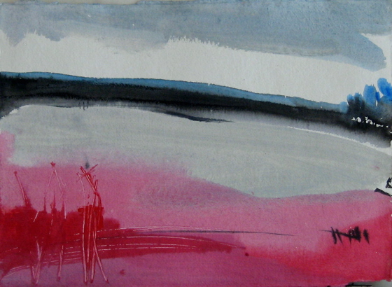 Encres sur papier 2009 42,5 x 30 cm 