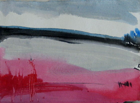 Encres sur papier 2009 42,5 x 30 cm 